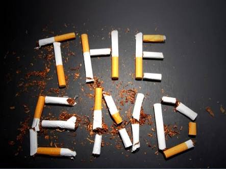 Impacts of Smoking on Health - Essay, Speech, Article